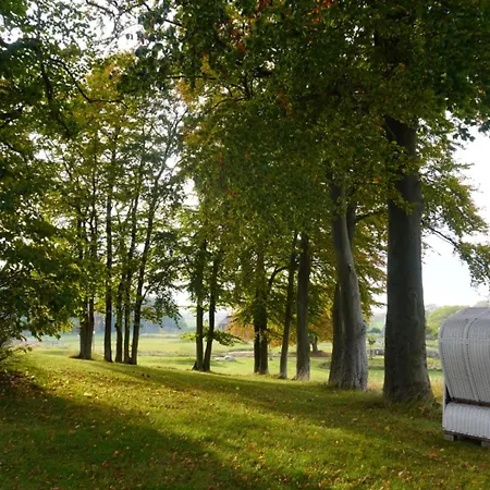 Mehr Als Nur Meer, Wellness Und Ruhe Im Haus Wassermann * Breege