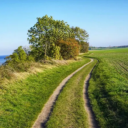 Fruehlingserwachen Und Meeresrauschen