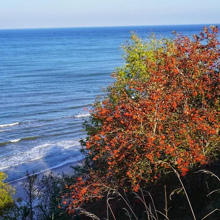 Fruehlingserwachen Und Meeresrauschen בית נופש ברייגה