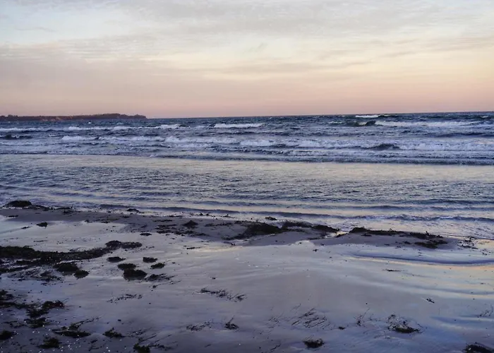 Fruehlingserwachen Im Haus Wassermann *