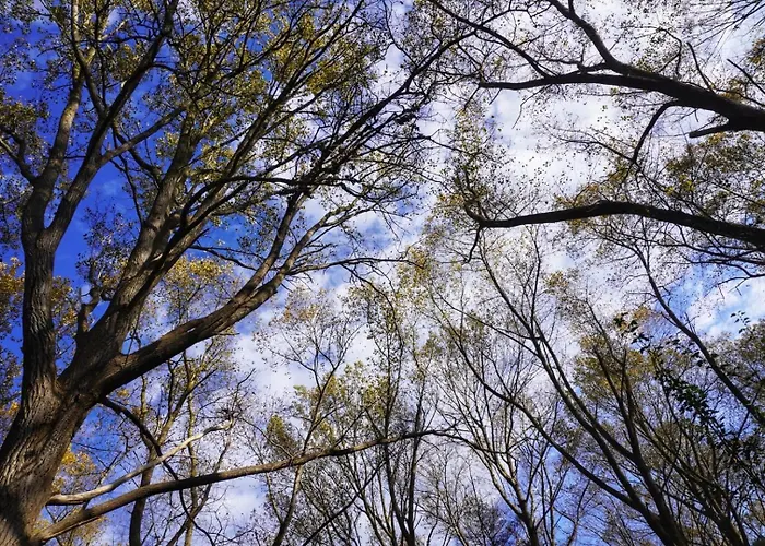 Frische Winterluft Und Kuschelige Waerme Zum Sonderpreis